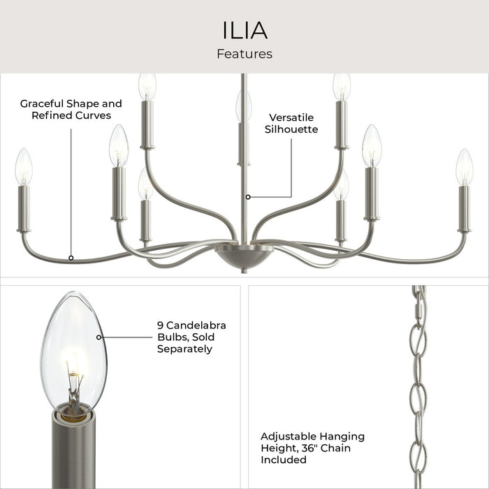 Myhouse Lighting Progress Lighting - P400465-009 - Nine Light Chandelier - Ilia - Brushed Nickel