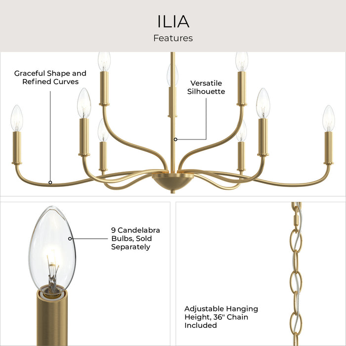 Myhouse Lighting Progress Lighting - P400465-191 - Nine Light Chandelier - Ilia - Brushed Gold