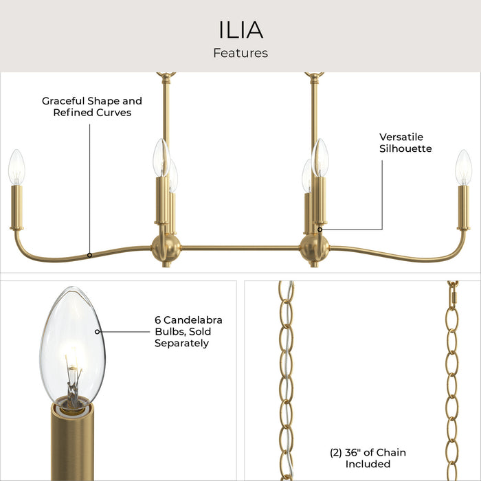 Myhouse Lighting Progress Lighting - P400466-191 - Six Light Linear Chandelier - Ilia - Brushed Gold