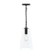 Myhouse Lighting Progress Lighting - P500511-31M - One Light Pendant - Jheni - Matte Black