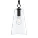 Myhouse Lighting Progress Lighting - P500511-31M - One Light Pendant - Jheni - Matte Black