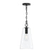 Myhouse Lighting Progress Lighting - P500511-31M - One Light Pendant - Jheni - Matte Black