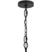 Myhouse Lighting Progress Lighting - P400458-31M - Four Light Chandelier - Jheni - Matte Black