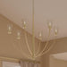 Myhouse Lighting Progress Lighting - P400455-191 - Six Light Chandelier - Jheni - Brushed Gold