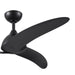 Myhouse Lighting Progress Lighting - P250126-31M - 52" Ceiling Fan - Nirra - Matte Black