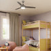 Myhouse Lighting Progress Lighting - P250124-009-30 - 52" Ceiling Fan - Nolyn - Brushed Nickel