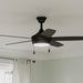 Myhouse Lighting Progress Lighting - P250125-31M-30 - 52" Ceiling Fan - Nolyn V - Matte Black
