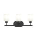 Myhouse Lighting Progress Lighting - P300579-31M - Three Light Bath Vanity - Reines - Matte Black