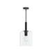 Myhouse Lighting Progress Lighting - P500509-31M - One Light Pendant - Reines - Matte Black