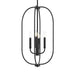 Myhouse Lighting Progress Lighting - P500510-31M - Four Light Foyer Pendant - Reines - Matte Black