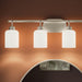 Myhouse Lighting Progress Lighting - P300580-009 - Four Light Bath Vanity - Reines - Brushed Nickel
