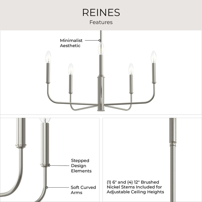 Myhouse Lighting Progress Lighting - P400446-009 - Five Light Chandelier - Reines - Brushed Nickel