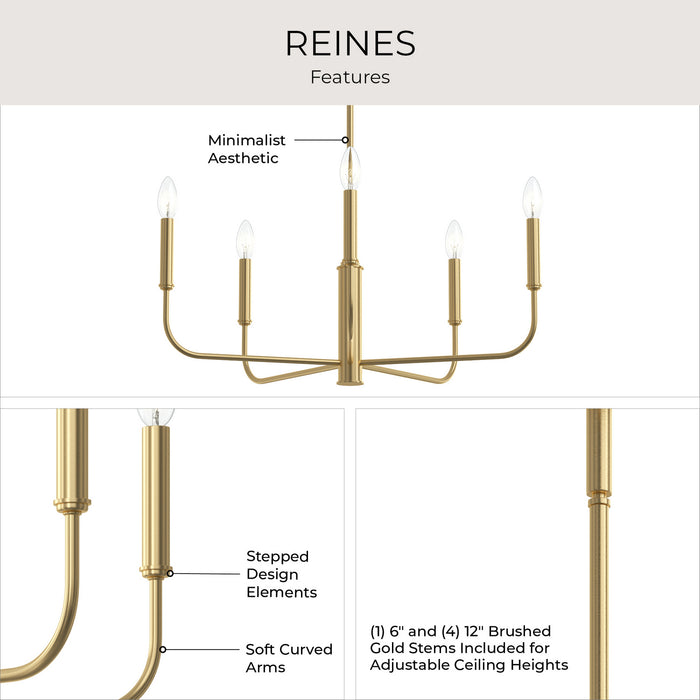 Myhouse Lighting Progress Lighting - P400446-191 - Five Light Chandelier - Reines - Brushed Gold