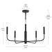 Myhouse Lighting Progress Lighting - P400446-31M - Five Light Chandelier - Reines - Matte Black