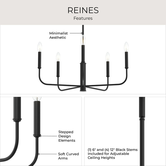 Myhouse Lighting Progress Lighting - P400446-31M - Five Light Chandelier - Reines - Matte Black