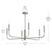 Myhouse Lighting Progress Lighting - P400448-009 - Six Light Chandelier - Reines - Brushed Nickel