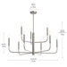 Myhouse Lighting Progress Lighting - P400449-009 - Nine Light Chandelier - Reines - Brushed Nickel
