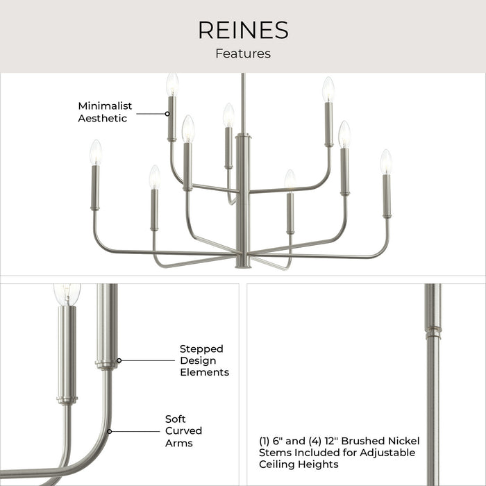 Myhouse Lighting Progress Lighting - P400449-009 - Nine Light Chandelier - Reines - Brushed Nickel