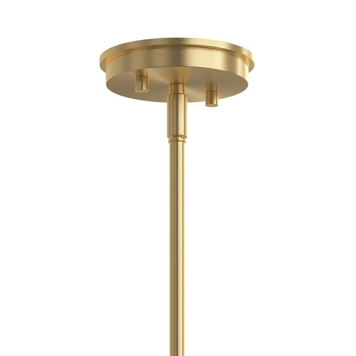 Myhouse Lighting Progress Lighting - P400449-191 - Nine Light Chandelier - Reines - Brushed Gold