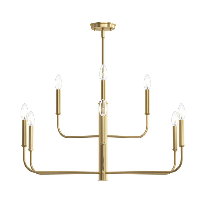 Myhouse Lighting Progress Lighting - P400449-191 - Nine Light Chandelier - Reines - Brushed Gold