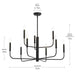 Myhouse Lighting Progress Lighting - P400449-31M - Nine Light Chandelier - Reines - Matte Black