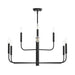 Myhouse Lighting Progress Lighting - P400449-31M - Nine Light Chandelier - Reines - Matte Black