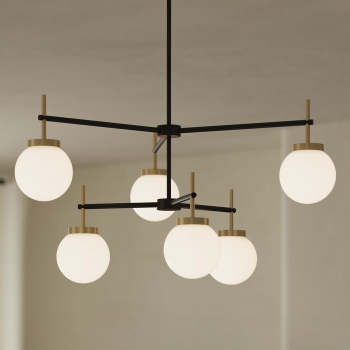 Myhouse Lighting Progress Lighting - P400470-319 - Six Light Chandelier - Rigsby - Matte Black and Brushed Gold