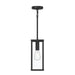 Myhouse Lighting Progress Lighting - P550146-31M - One Light Outdoor Pendant - Ryle - Matte Black