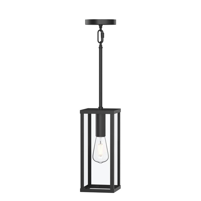 Myhouse Lighting Progress Lighting - P550146-31M - One Light Outdoor Pendant - Ryle - Matte Black