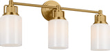 Myhouse Lighting Visual Comfort Studio - CV1113BBS - Three Light Bath - Ashford - Burnished Brass/Burnished Brass