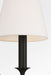 Myhouse Lighting Visual Comfort Studio - AW1231AI - One Light Wall Sconce - Chatsworth - Aged Iroged Iron