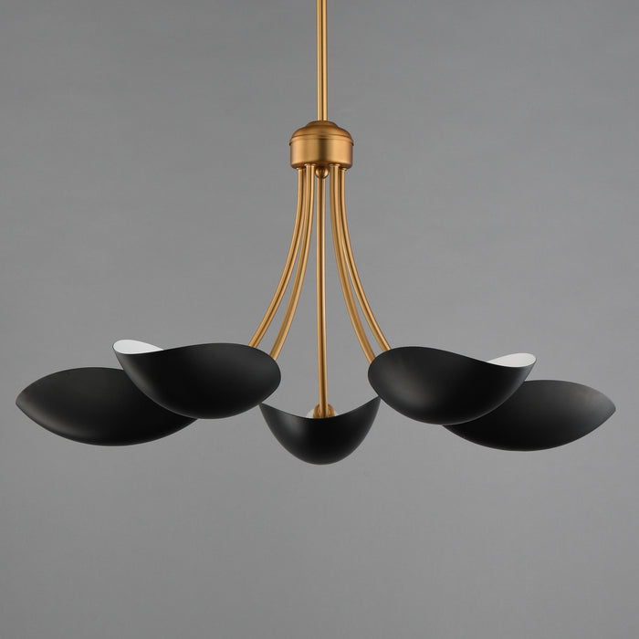 Myhouse Lighting Maxim - 10825BKNAB - Five Light Chandelier - Maris - Black / Natural Aged Brass