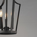 Myhouse Lighting Maxim - 10423BK - Three Light Pendant - Arden - Black