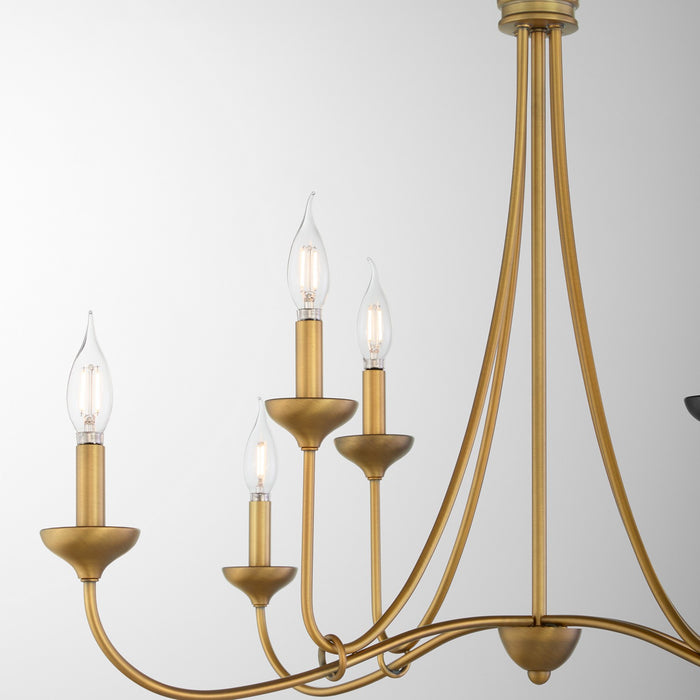 Myhouse Lighting Quorum - 655-8-47 - Eight Light Chandelier - Livingston - Brushed Brass