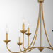 Myhouse Lighting Quorum - 655-8-47 - Eight Light Chandelier - Livingston - Brushed Brass