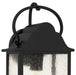 Myhouse Lighting Quoizel - DAM8307MBK - One Light Outdoor Wall Lantern - Damian - Matte Black