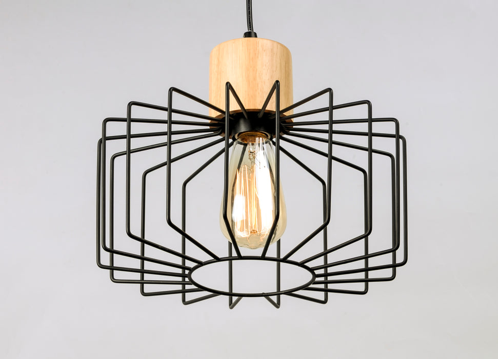 Bjorn 1-Light Pendant