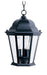Westlake Cast 3-Light Outdoor Hanging Lantern