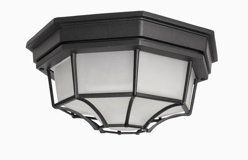 Crown Hill 2-Light Outdoor Ceiling Mount