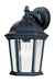 Builder Cast 1-Light Outdoor Wall Lantern