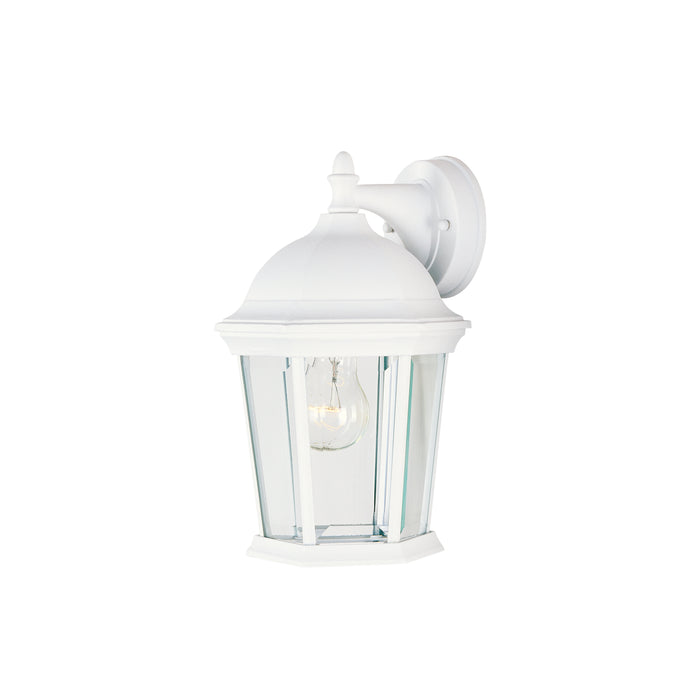 Builder Cast 1-Light Outdoor Wall Lantern