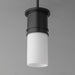 Rexford 1-Light Mini Pendant