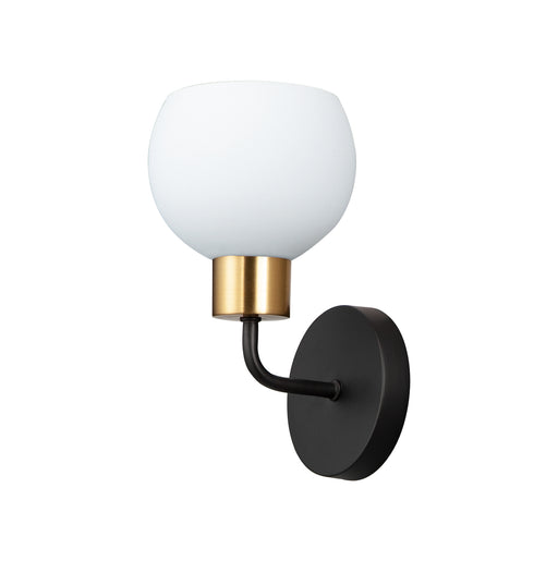 Coraline 1-Light Wall Sconce