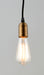 Early Electric 1-Light Pendant