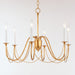 Plumette 6-Light Chandelier