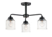 Acadia 3-Light Semi-Flush Mount/Chandelier