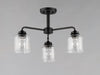 Acadia 3-Light Semi-Flush Mount/Chandelier