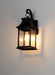 Vicksburg 1-Light Small Outdoor Wall Sconce