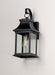 Vicksburg 1-Light Small Outdoor Wall Sconce