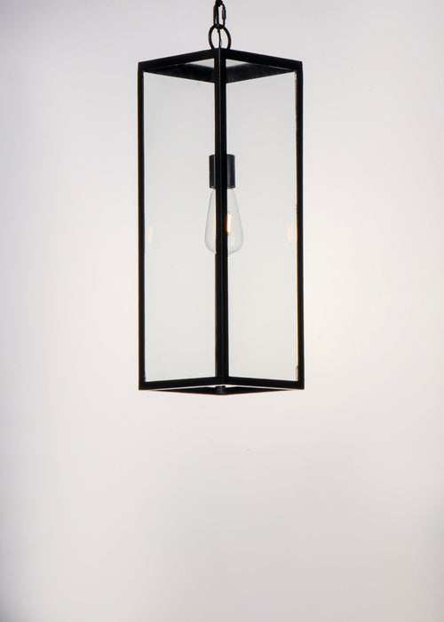 Catalina 1-Light Outdoor Hanging Lantern